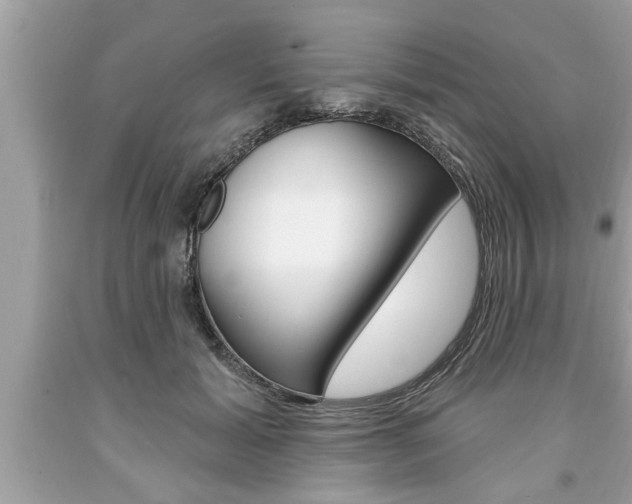 X0000094170605200710260911
