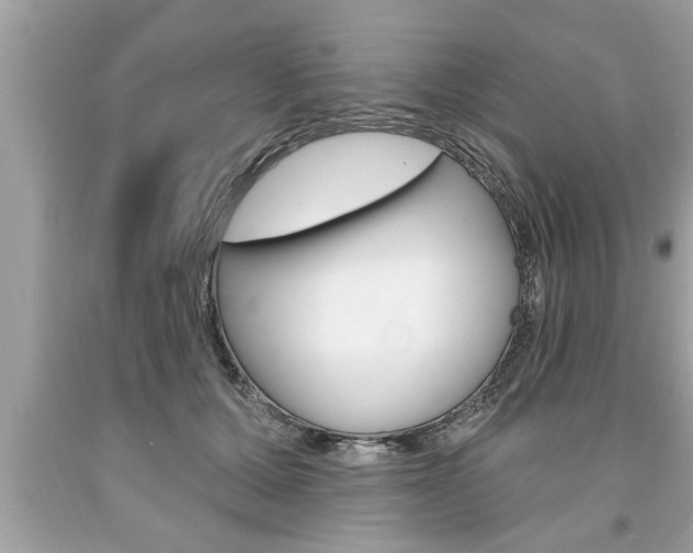 X0000094170607200710260911