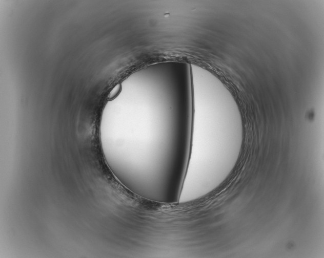 X0000094170608200710260910