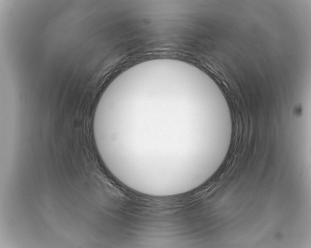 X0000094170609200710260910