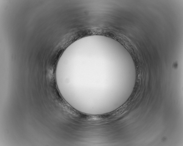 X0000094170610200710260910