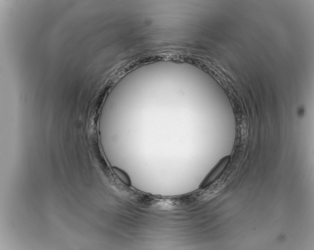 X0000094170611200710260910