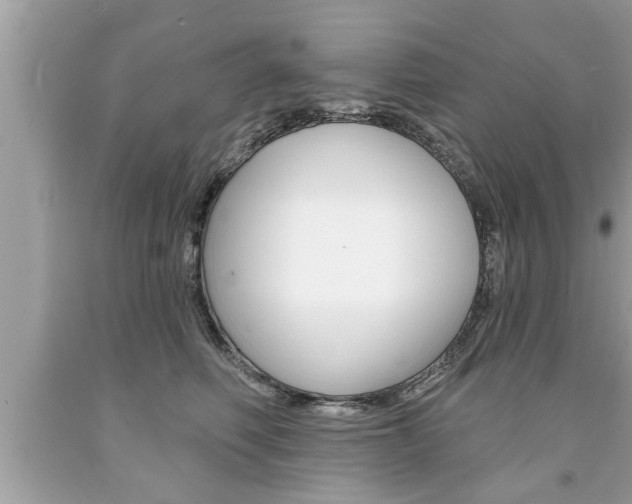 X0000094170614200710260910