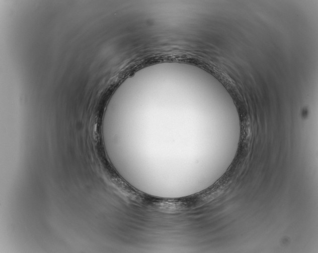 X0000094170615200710260910