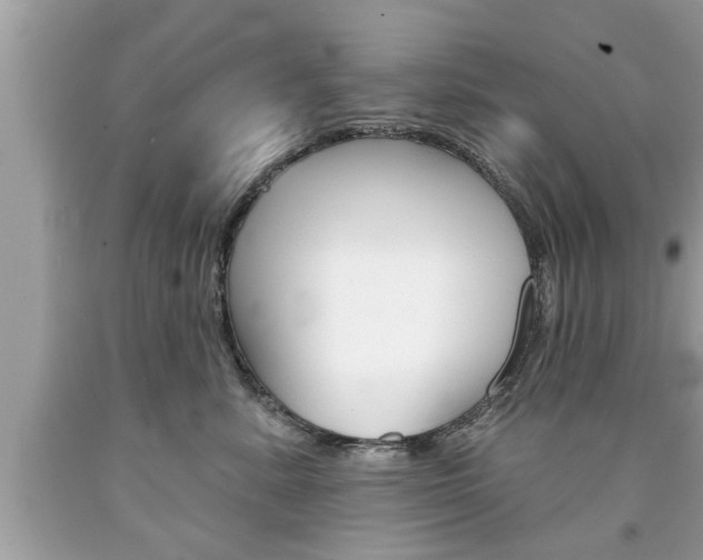 X0000094170619200710260910