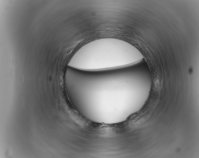 X0000094170620200710260910