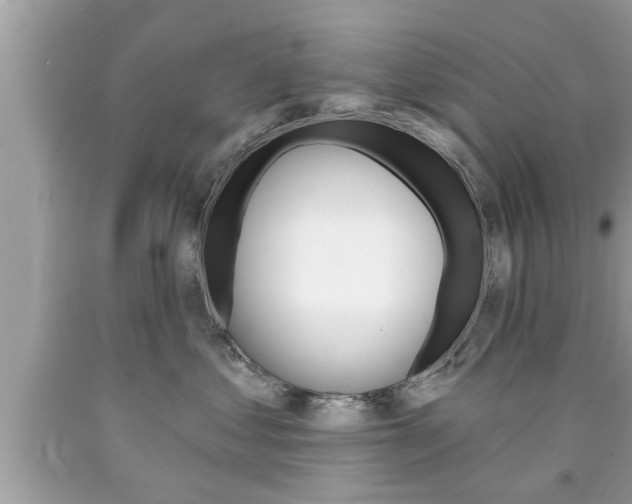 X0000094170621200710260910