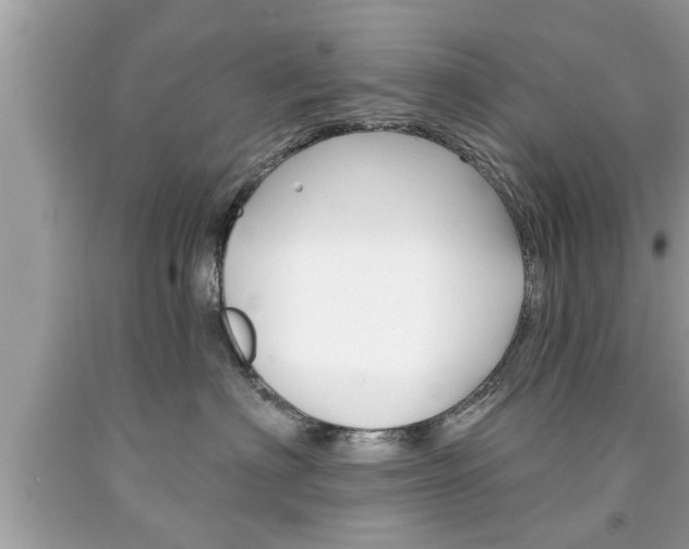 X0000094170622200710260910