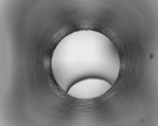 X0000094170623200710260910