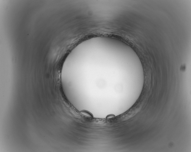 X0000094170624200710260910
