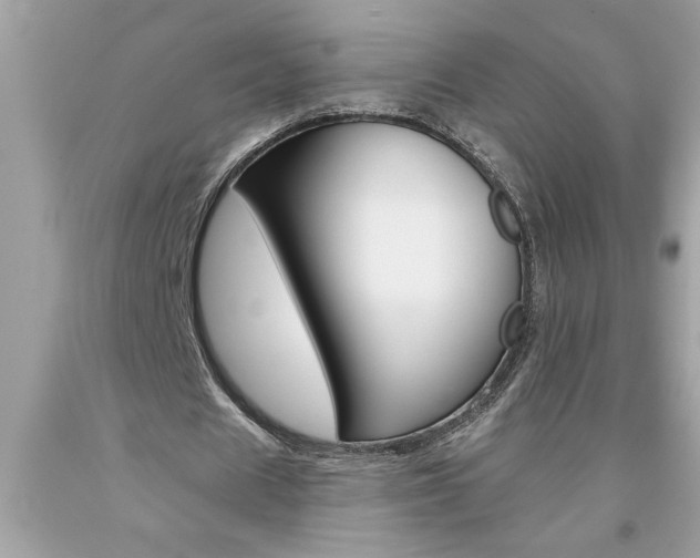 X0000094170625200710260910