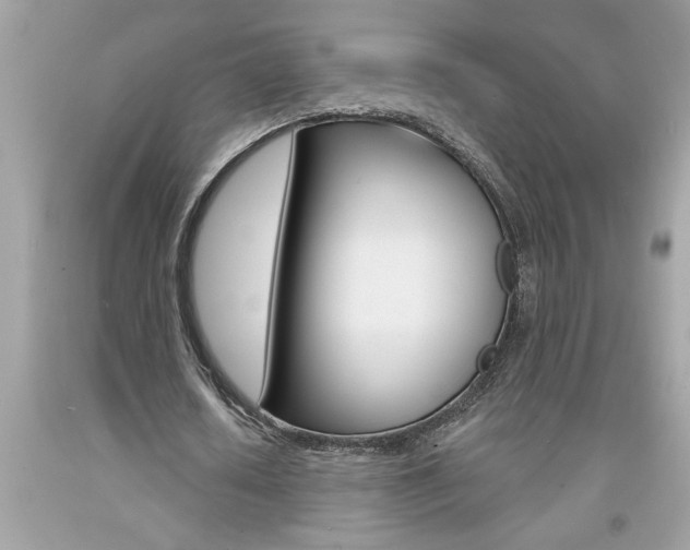 X0000094170626200710260910