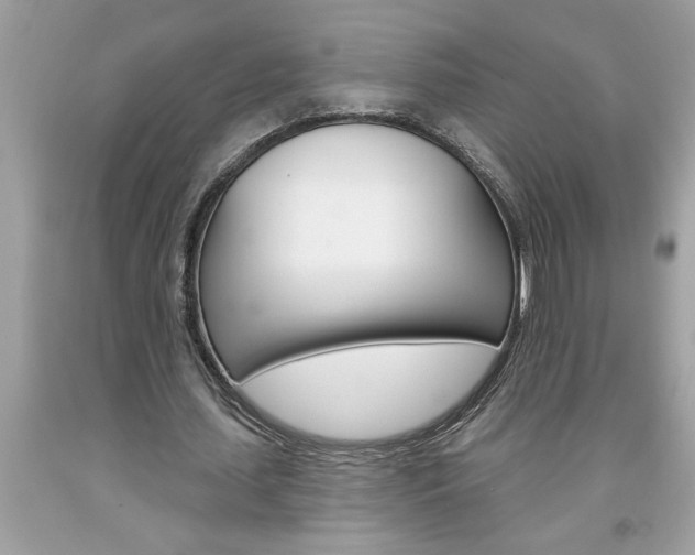 X0000094170627200710260910