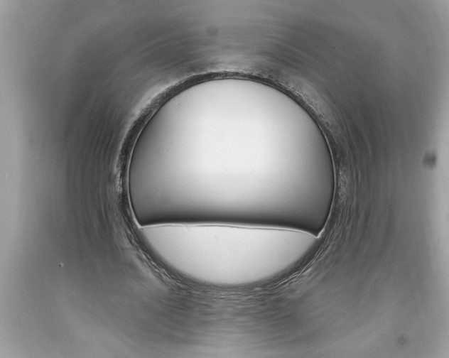 X0000094170628200710260910