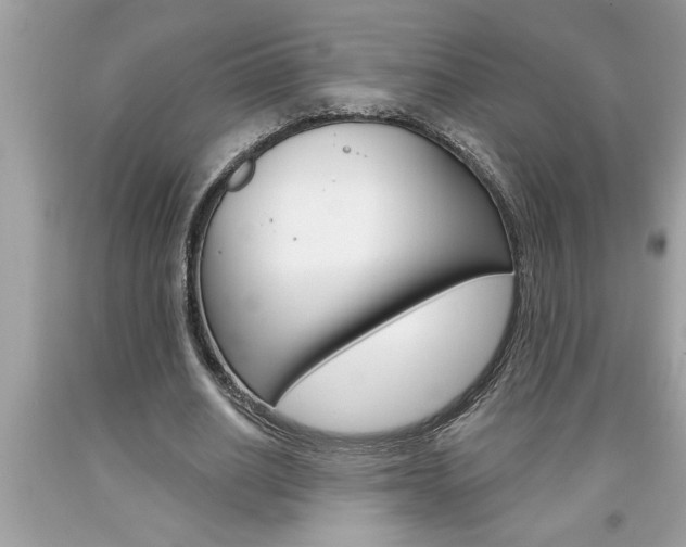 X0000094170630200710260910