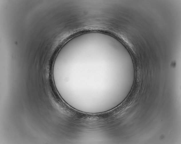 X0000094170631200710260910
