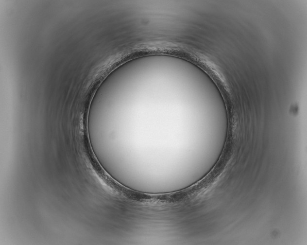 X0000094170633200710260910