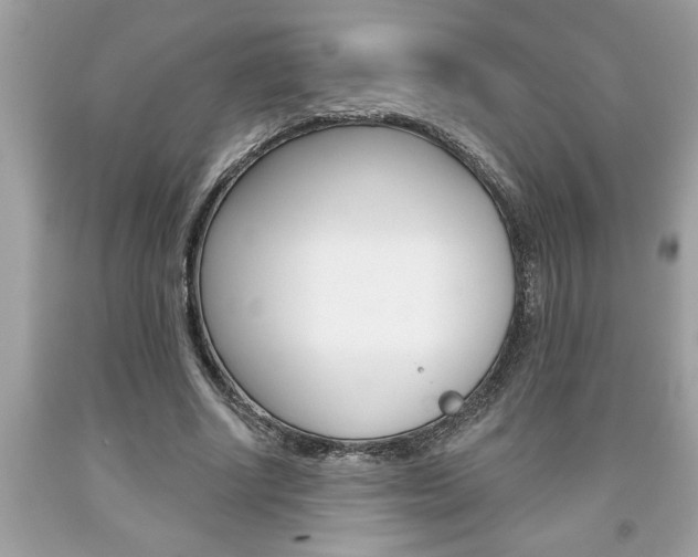 X0000094170634200710260910