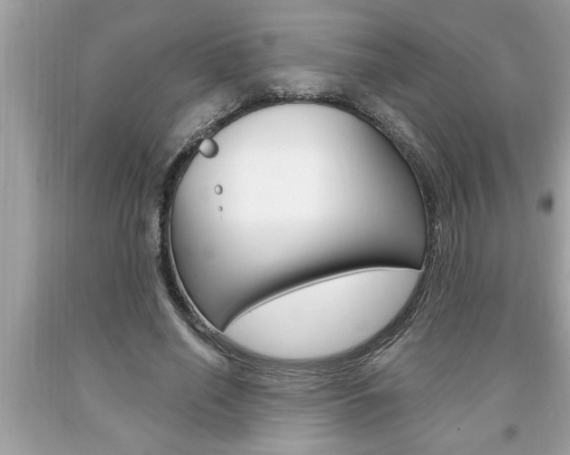 X0000094170638200710260910