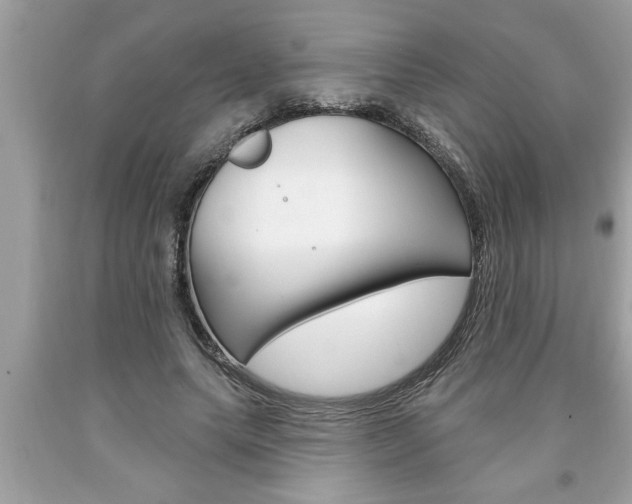 X0000094170639200710260910