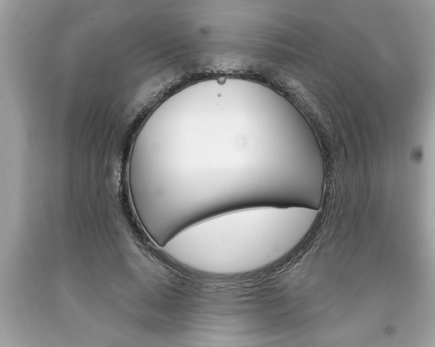X0000094170640200710260910