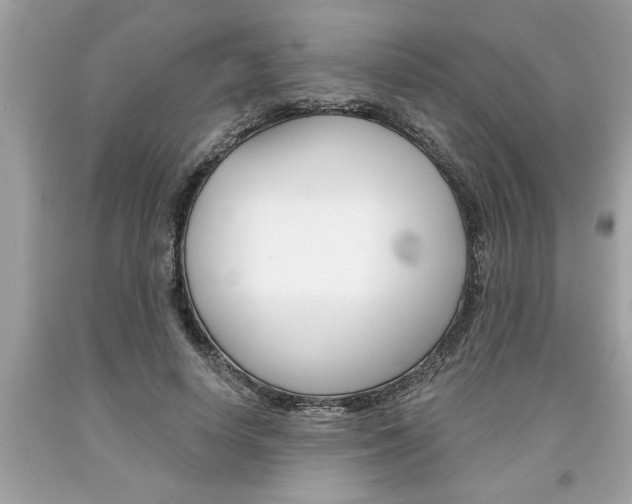 X0000094170642200710260910