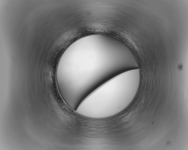 X0000094170643200710260910