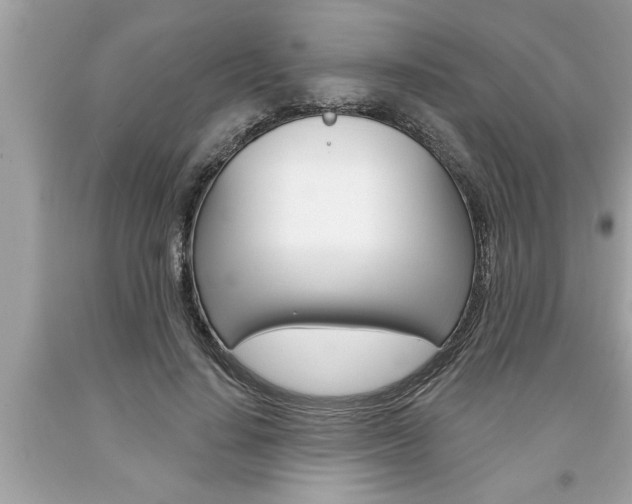 X0000094170644200710260910