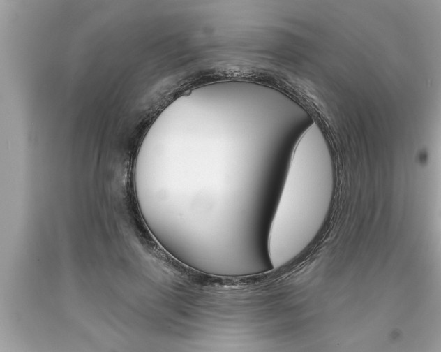 X0000094170645200710260910