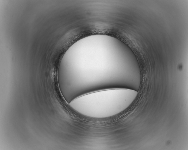 X0000094170647200710260910
