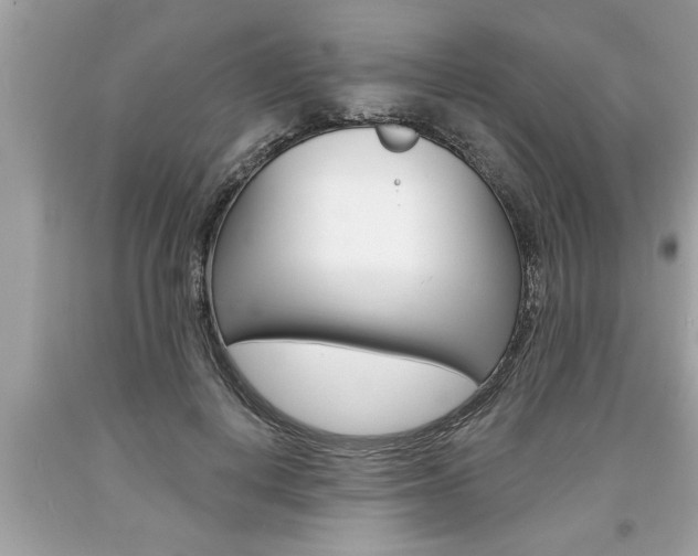 X0000094170648200710260910