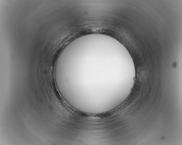 X0000094170650200710260910