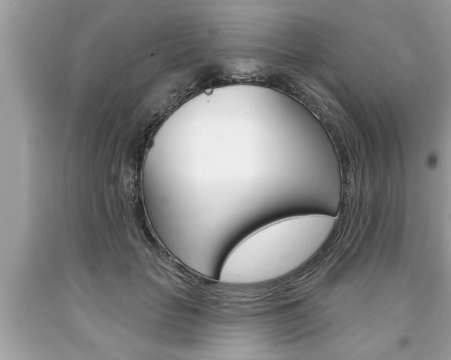 X0000094170653200710260910