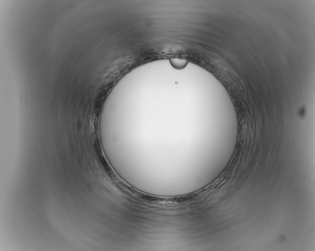X0000094170654200710260910