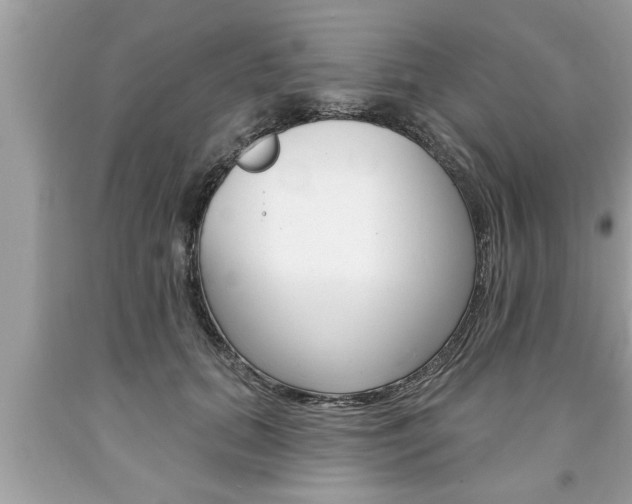 X0000094170655200710260910