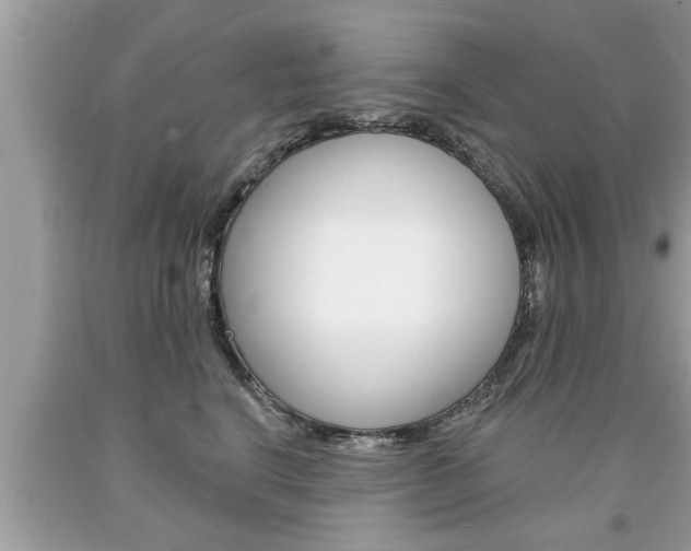 X0000094170664200710260910