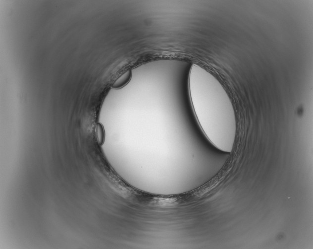 X0000094170665200710260910