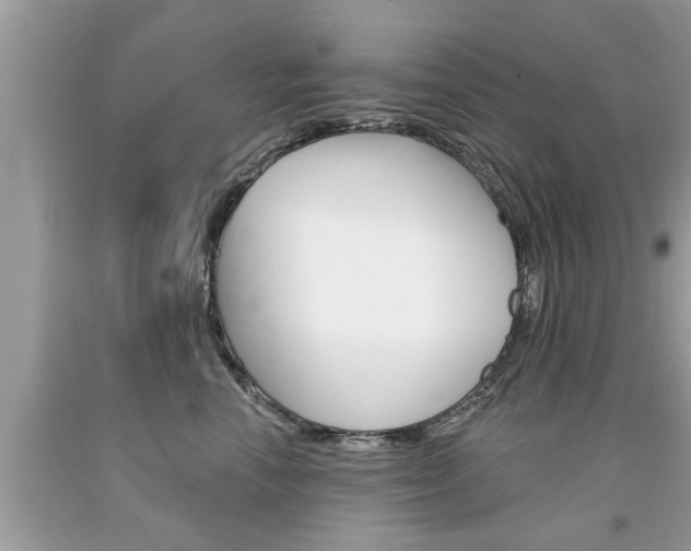 X0000094170666200710260910