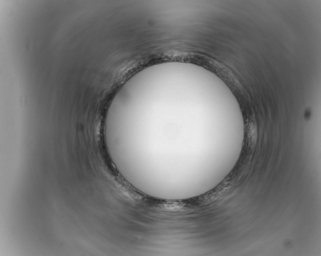 X0000094170668200710260910