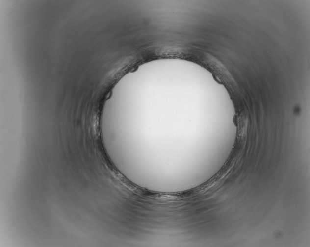 X0000094170669200710260910