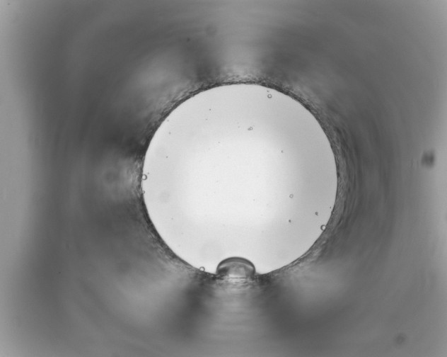X0000094170672200710260910
