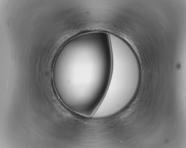 X0000094170673200710260910