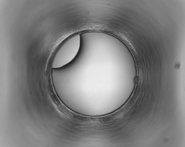 X0000094170674200710260910
