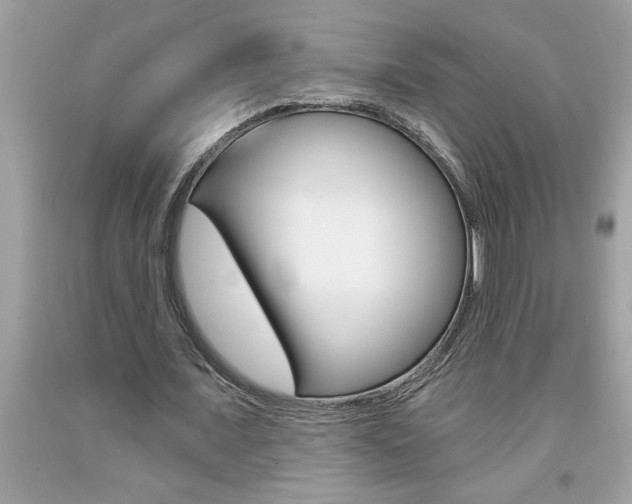 X0000094170675200710260910