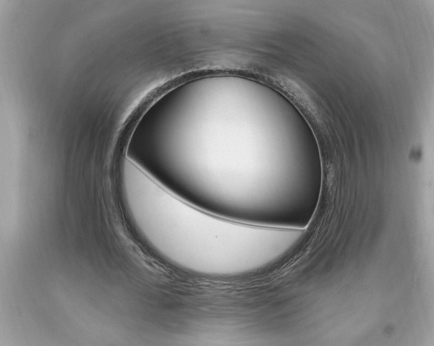 X0000094170676200710260910