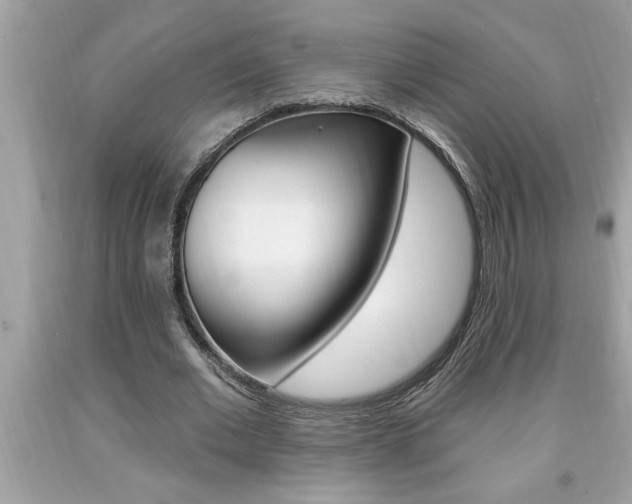 X0000094170677200710260910