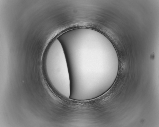X0000094170678200710260910