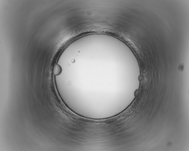 X0000094170679200710260910