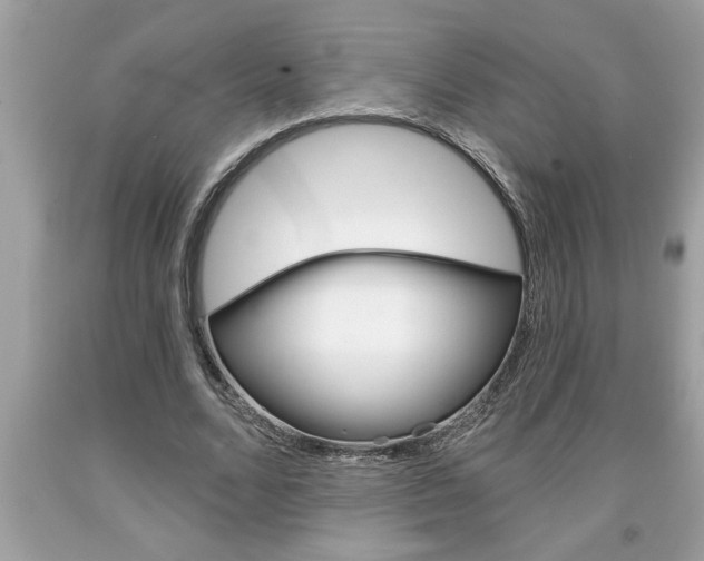 X0000094170680200710260909