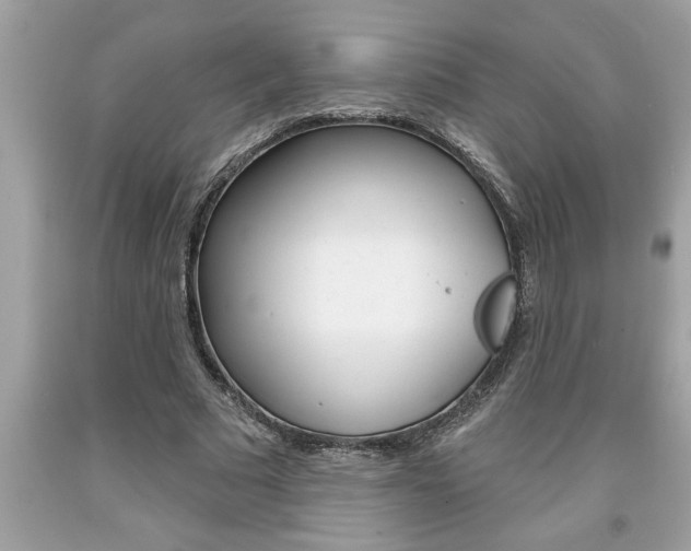 X0000094170681200710260909